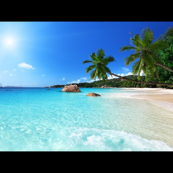 Meet your Posher, Anna - Picture 1 of 1